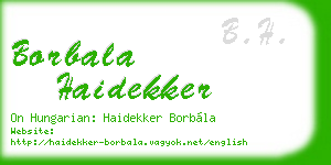 borbala haidekker business card